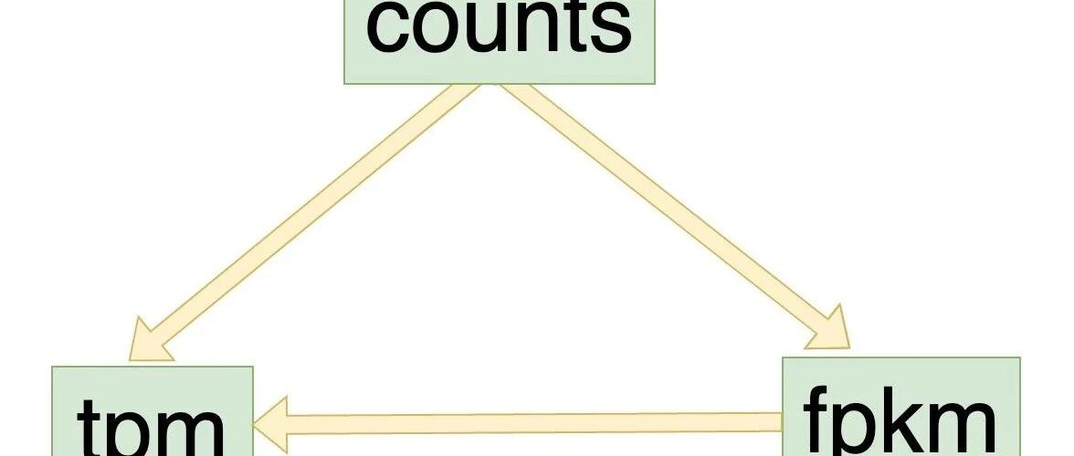 RNA测序数据分析：Counts、FPKM和TPM的区别与应用