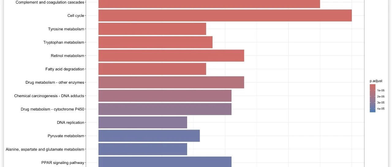 【GEO数据挖掘系列】(6) KEGG富集分析