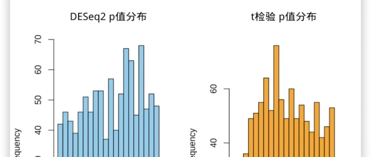 为什么RNA-Seq差异表达分析要用DESeq2而不是t检验？广义线性模型优势解析