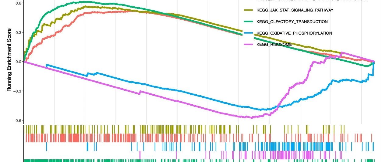 为什么需要做GSEA/GSVA分析？GO/KEGG分析的不足！