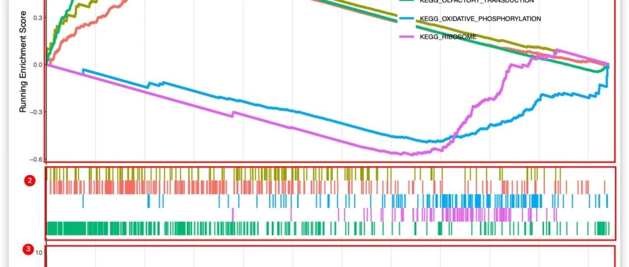 如何解读GSEA图？从GO/KEGG富集分析的不足到GSEA基因集富集分析的原理