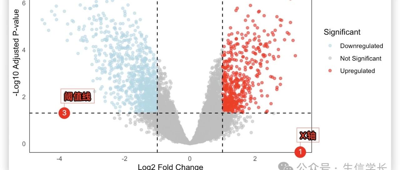 火山图怎么看？如何绘制？——差异表达分析基本技能