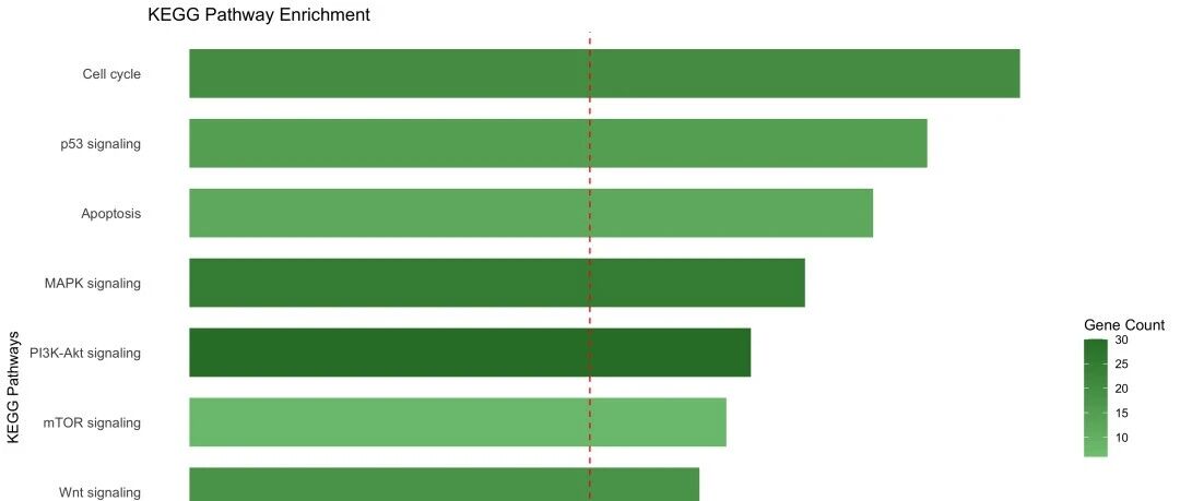 为什么需要做GO/KEGG富集分析？本质就是对几百到几千的差异表达基因进行归类