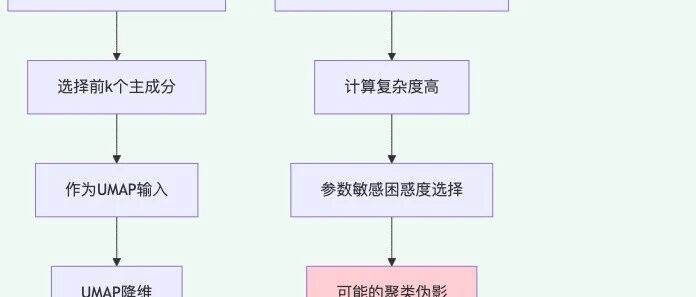在单细胞分析中，为什么PCA+UMAP常替代直接t-SNE？