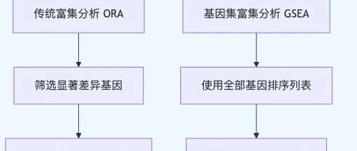 为什么要做 GSEA 富集分析？