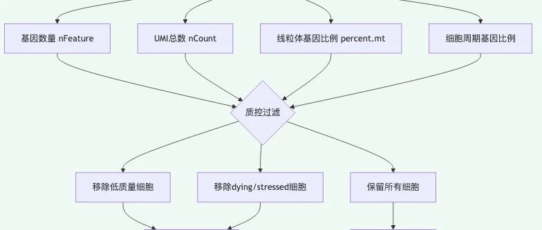 单细胞分析中，为什么要先做质控过滤？