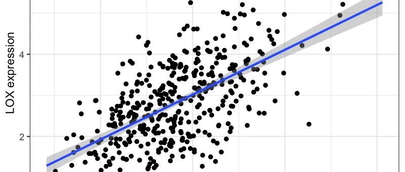 TCGA数据挖掘(6)：什么是共表达分析？如何构建单基因共表达网络
