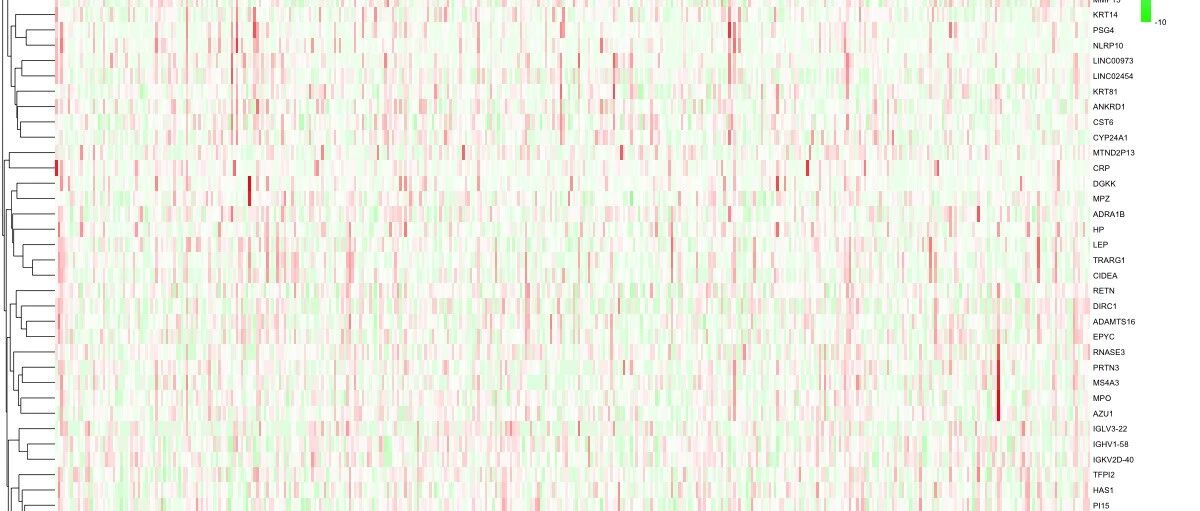TCGA数据挖掘(8)：什么是基因分组分析？如何识别单基因相关差异表达基因