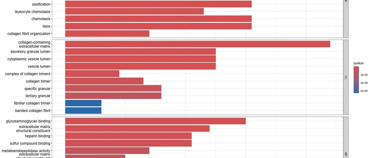 TCGA数据挖掘(9)：什么是GO富集分析？如何解析单基因相关基因功能