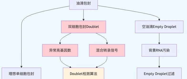 单细胞转录组分析中，为什么需要去除双细胞doublet removal？