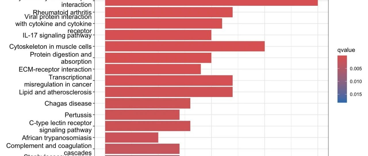 TCGA数据挖掘(10)：什么是KEGG通路分析？如何挖掘单基因相关信号通路（R代码可复现）