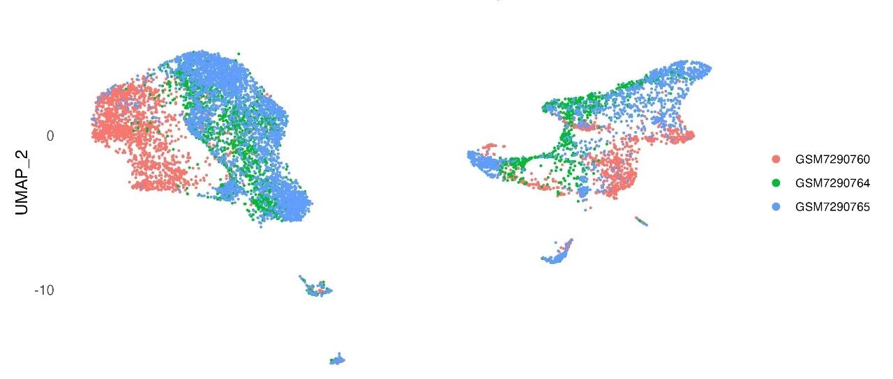 [单细胞转录组分析系列教程 6] 怎么做单细胞UMAP/tSNE降维可视化？