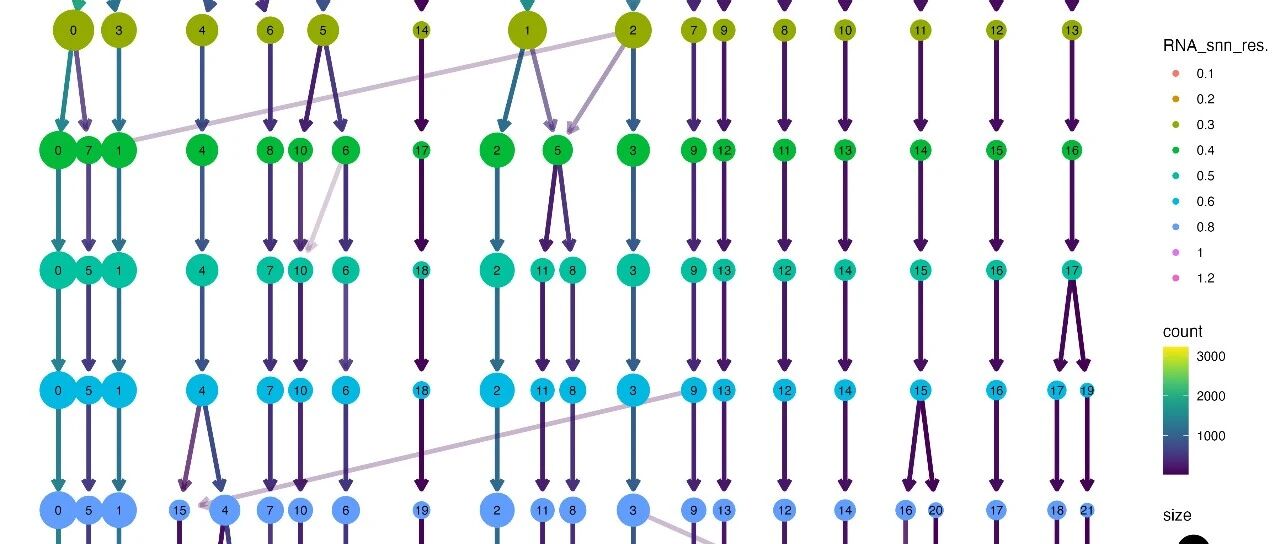 [单细胞转录组分析系列教程 7] 怎么做单细胞聚类分析？