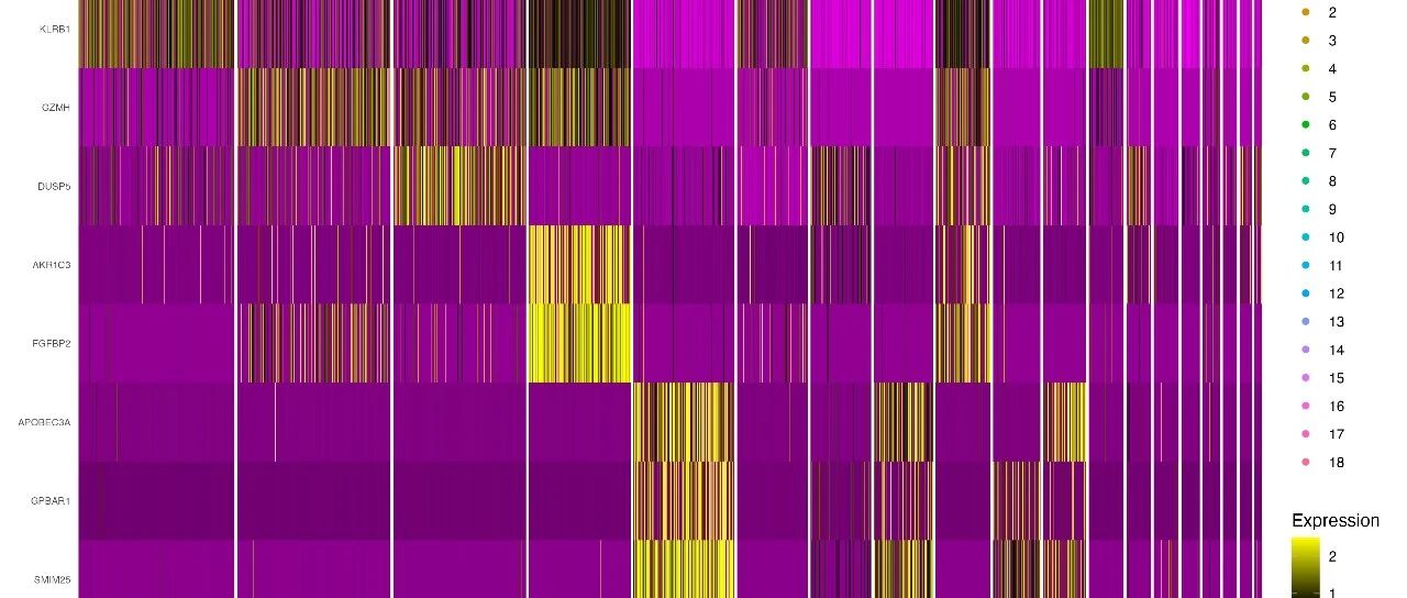 [单细胞转录组分析系列教程 8] 怎么做单细胞marker基因识别？