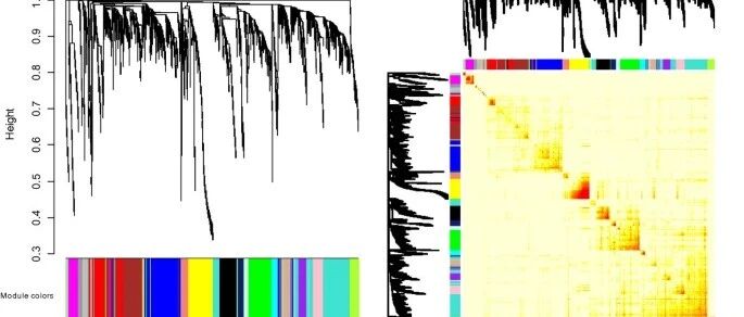 WGCNA分析，为什么可以“无视”基因长度？