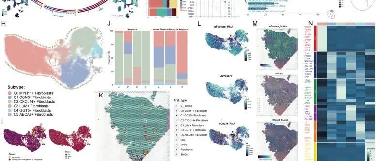 [一区 12分] 单细胞和空间转录组学揭示宫颈癌成纤维细胞