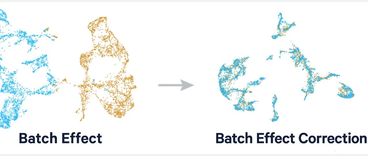多数据集合并与批次校正：整合TCGA和GEO数据