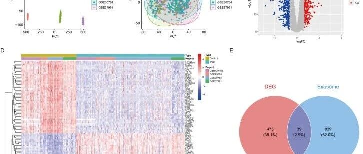 利用差异表达分析、机器学习（LASSO、SVM-RFE、随机森林）及免疫微环境分析鉴定头颈部鳞状细胞癌外泌体相关生物标志物