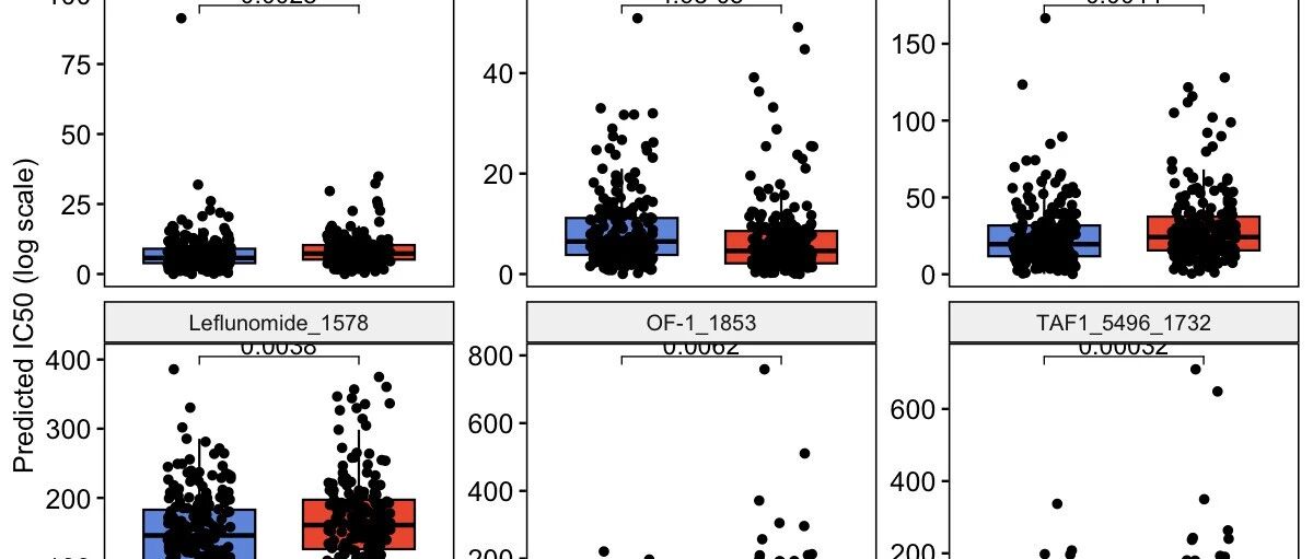 miRNA与药物敏感性oncoPredict预测分析