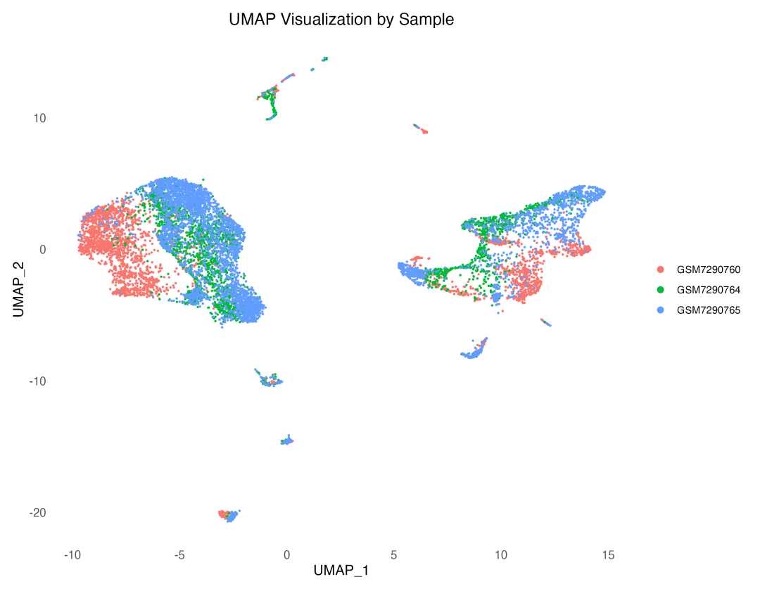 UMAP按样本分组