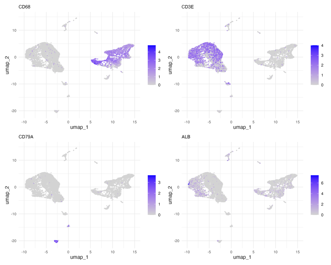 Marker基因特征图