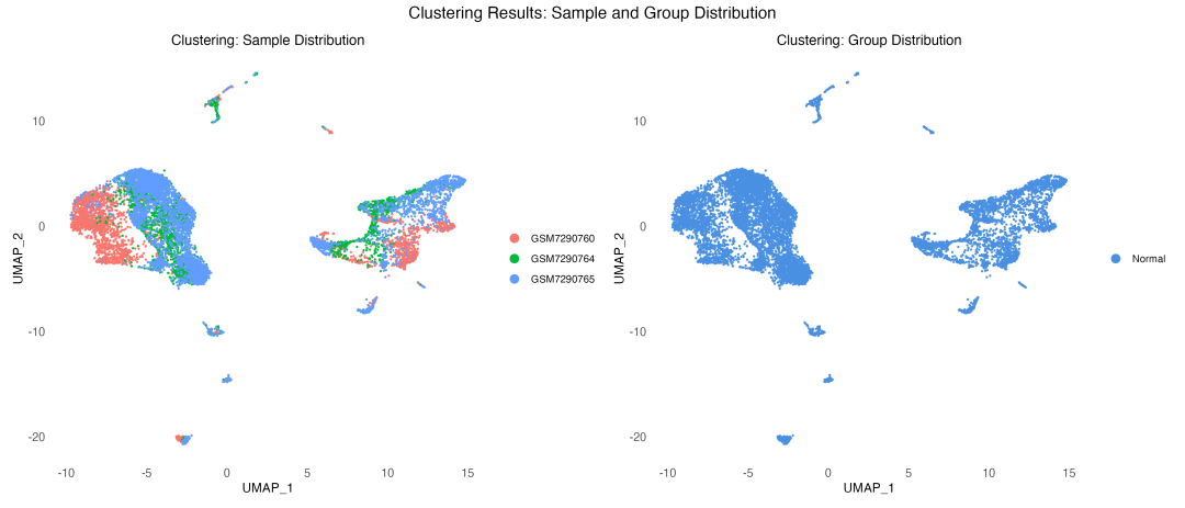 样本和分组分布