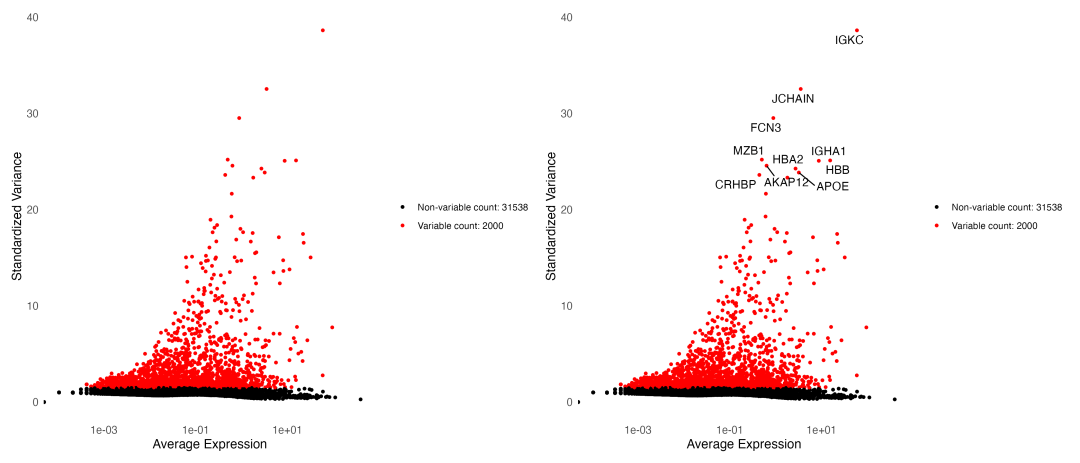 变异基因识别结果