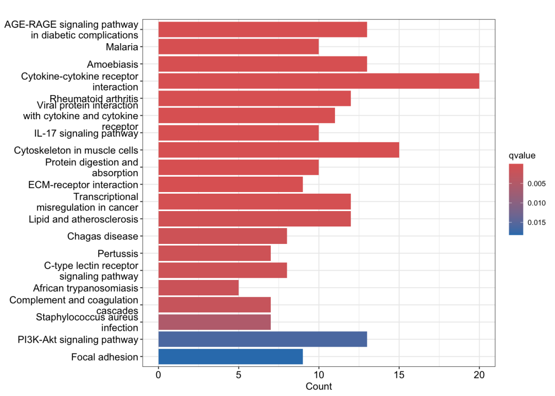 图1：KEGG通路富集分析柱状图