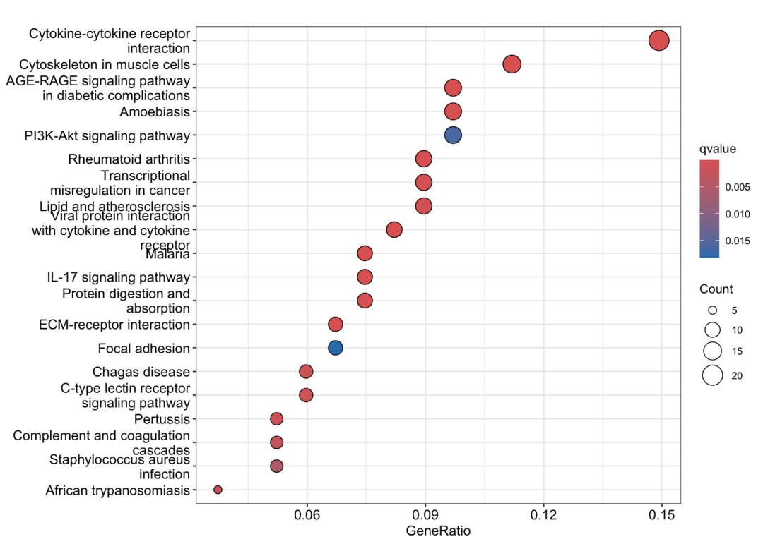 图2：KEGG通路富集分析点图