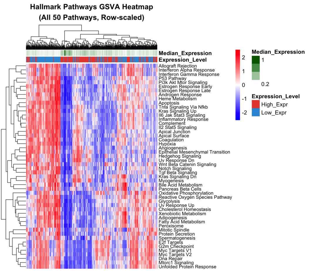 Hallmark通路热图