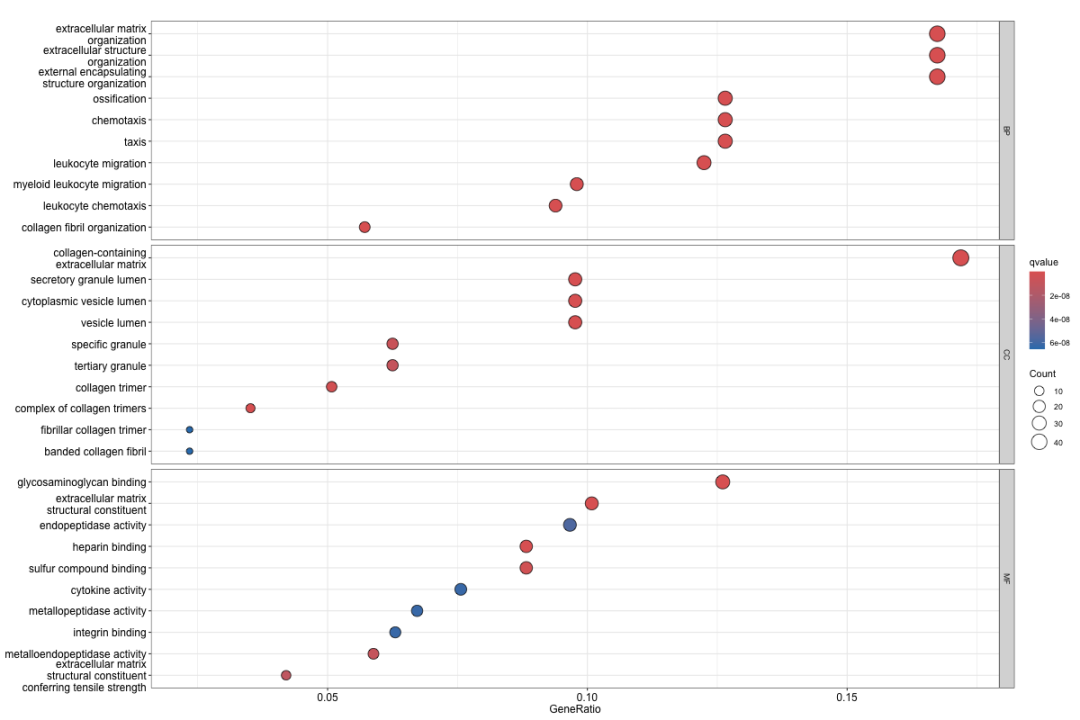 图2：GO富集分析气泡图