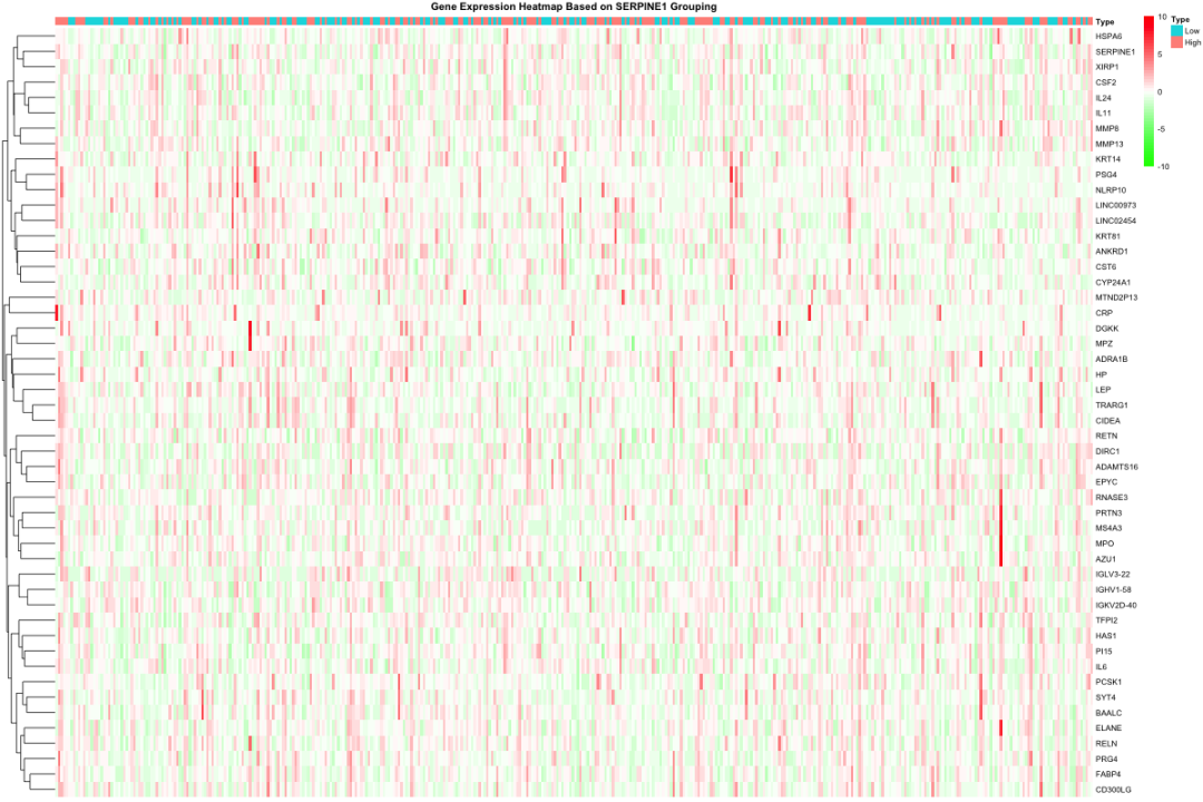 图1：基于SERPINE1分组的差异基因热图